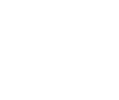 Venturisy